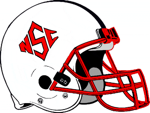 North Carolina State Wolfpack 1986-1998 Helmet Logo iron on transfers for fabric